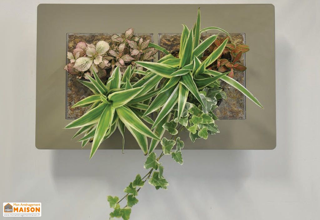 cadre vegetal mural cadre v 233 g 233 tal mural mathy 30x48cm plusieurs coloris garden city cadre vegetal mural cadre v 233 g 233 tal mural mathy 30x48cm plusieurs coloris garden city