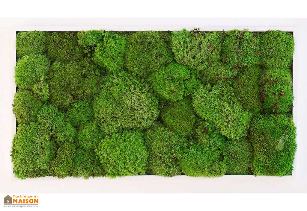cadre vegetal rectangulaire mousse boule kokoon pls dimensions greenmood