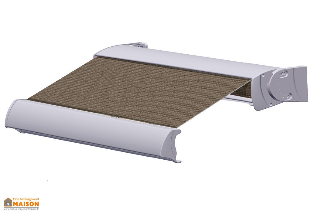 Store Banne 4x3 Coffre Integral Xxl Moteur Tele Cde Techsun