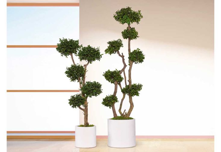 Greenmoods Bonsaï artificiel 70 cm en pot - Greenmoods