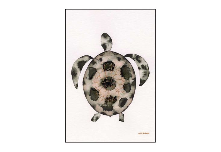 Poster mural design tortue minimaliste– Mr Turtle