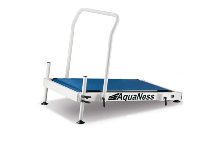Tapis de course aquatique - AquaNess