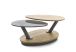 Table basse de salon en bois et verre