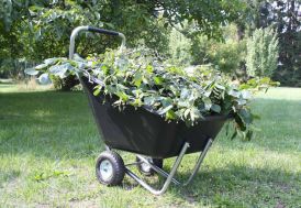 Brouette Haemmerlin Big Garden Roues Gonflées