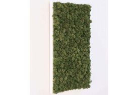 Cadre Végétal Rectangulaire Lichen Stabilisé Greenmood Khloe