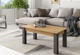 Table basse noir et bois naturel