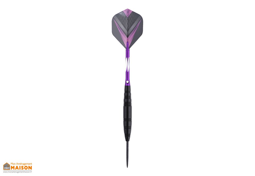 Jeu De Fléchettes Pro 18g – Pointe Souple, 30 Embouts, Boîtier Cadeau, NEUF