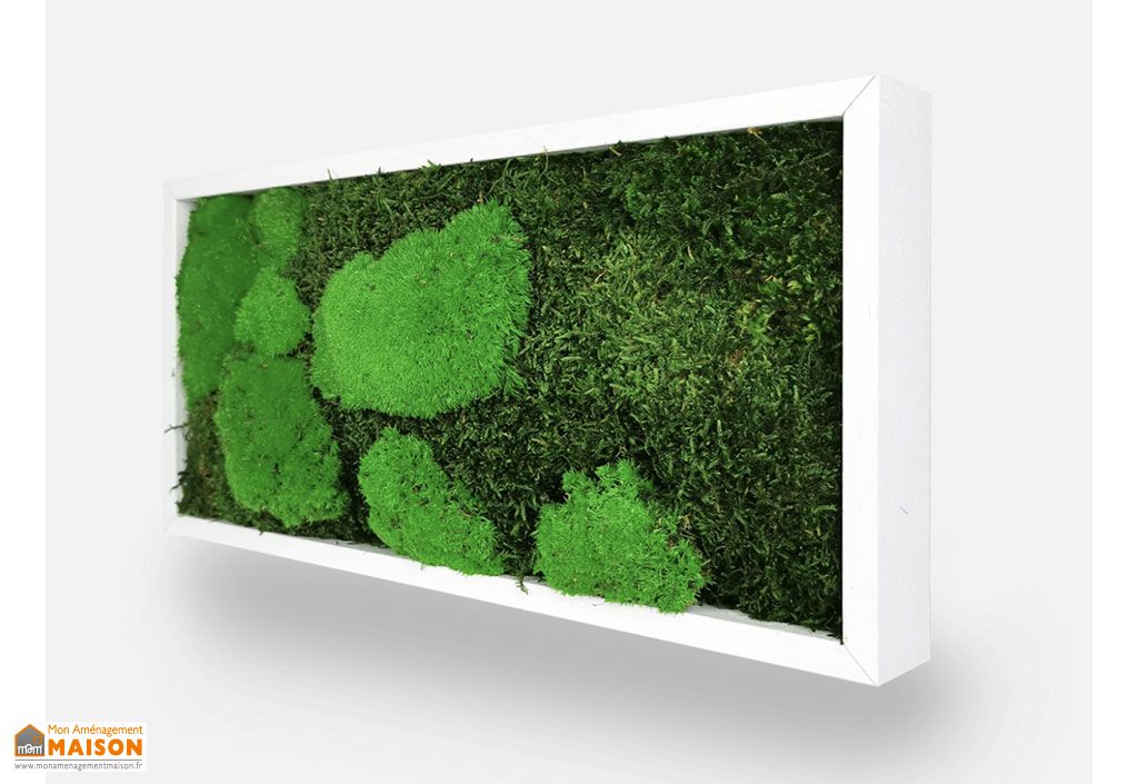 Tableau Décoration Murale Hexagonale Mousse Véritable Stabilisée ø 38 Cm - Cadre Bois Noir - Ambiance Nature