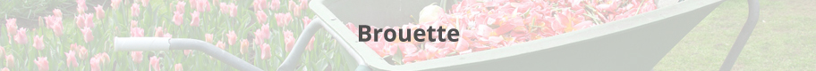 Brouette.